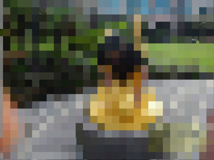 BlogPaint