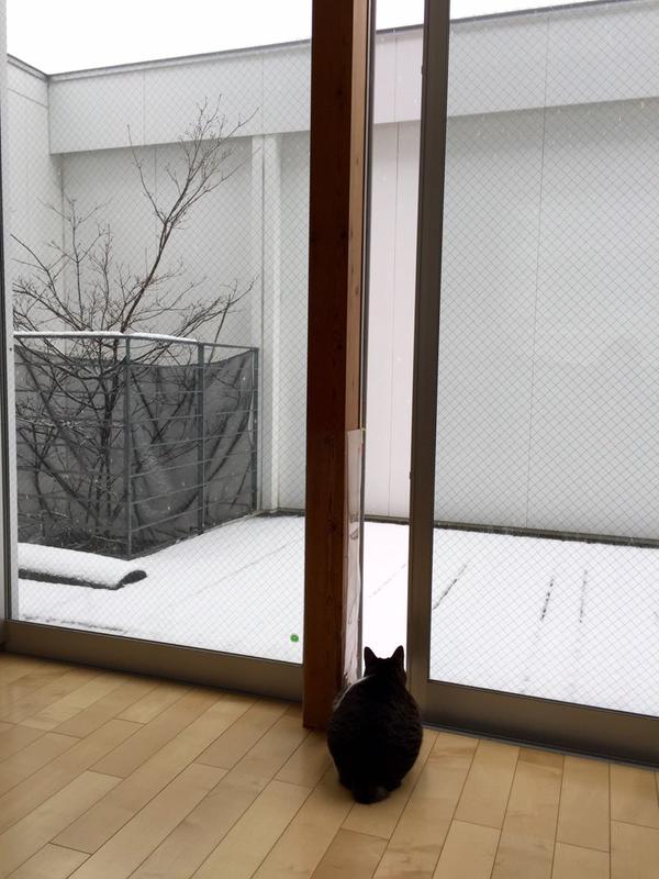 20150130123340_1_3