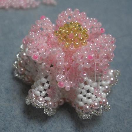 CIMG0302