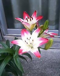 f07cd9a1.jpg