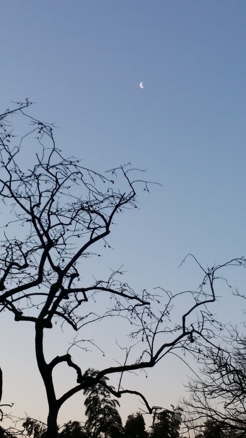 20160303_062252