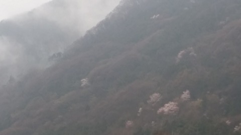 20160404_082939