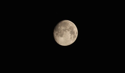 IMG_3375