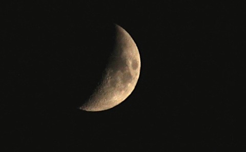 IMG_3479