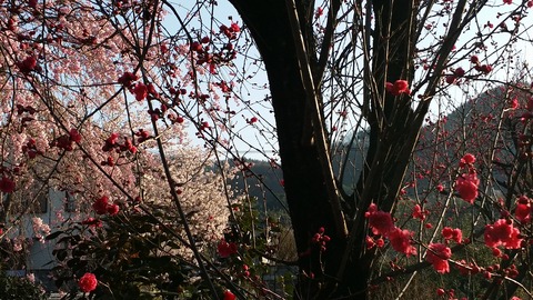 20160412_064409