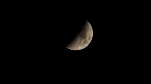 IMG_7155
