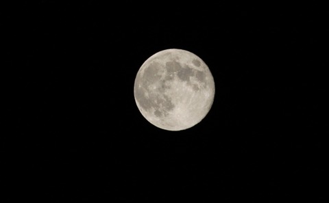 IMG_7227
