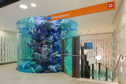Aquarium-Ground-Level