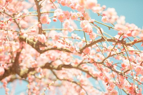 74efcb3c356bbe1e1b4fc2b7b5c1d1fe_s