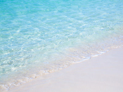 海