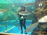 µûÄſ岴Û