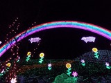 ¤¢¤·¤«¤¬¥Õ¥é¥ï¡¼¥Ñ¡¼¥¯ ¥¤¥ë¥ß¥Í¡¼¥·¥ç¥ó¥