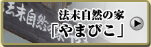 btn_yamabiko