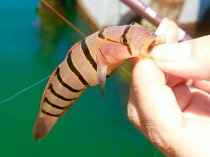 IMG_0148