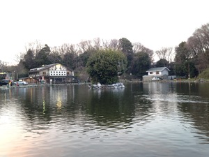 IMG_9590