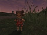 Eri050731014235a.jpg