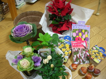 DSCN7417