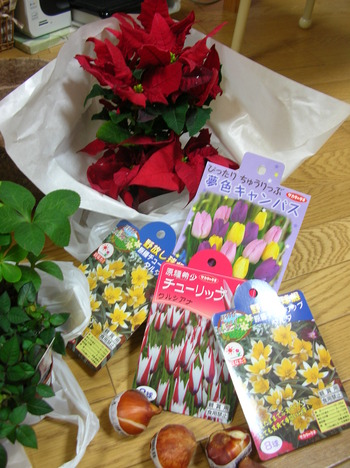 DSCN7419