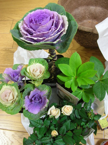 DSCN7418