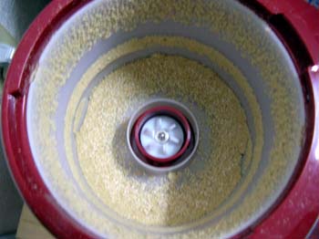 a109f097.jpg