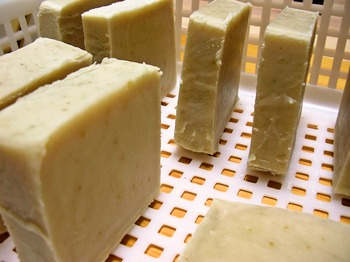 foodpic2013469