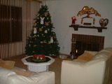 3d079620.jpg