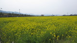 6b1d0200.jpg