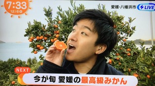 mikan2017maana