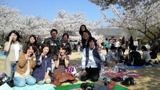 Hanami Party at Matsuyama Castle
