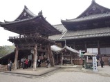長谷寺?