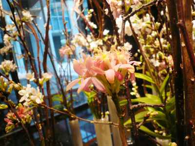 季節のお花も綺麗!