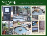 犬宿