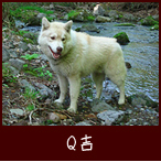 犬泊まれる宿