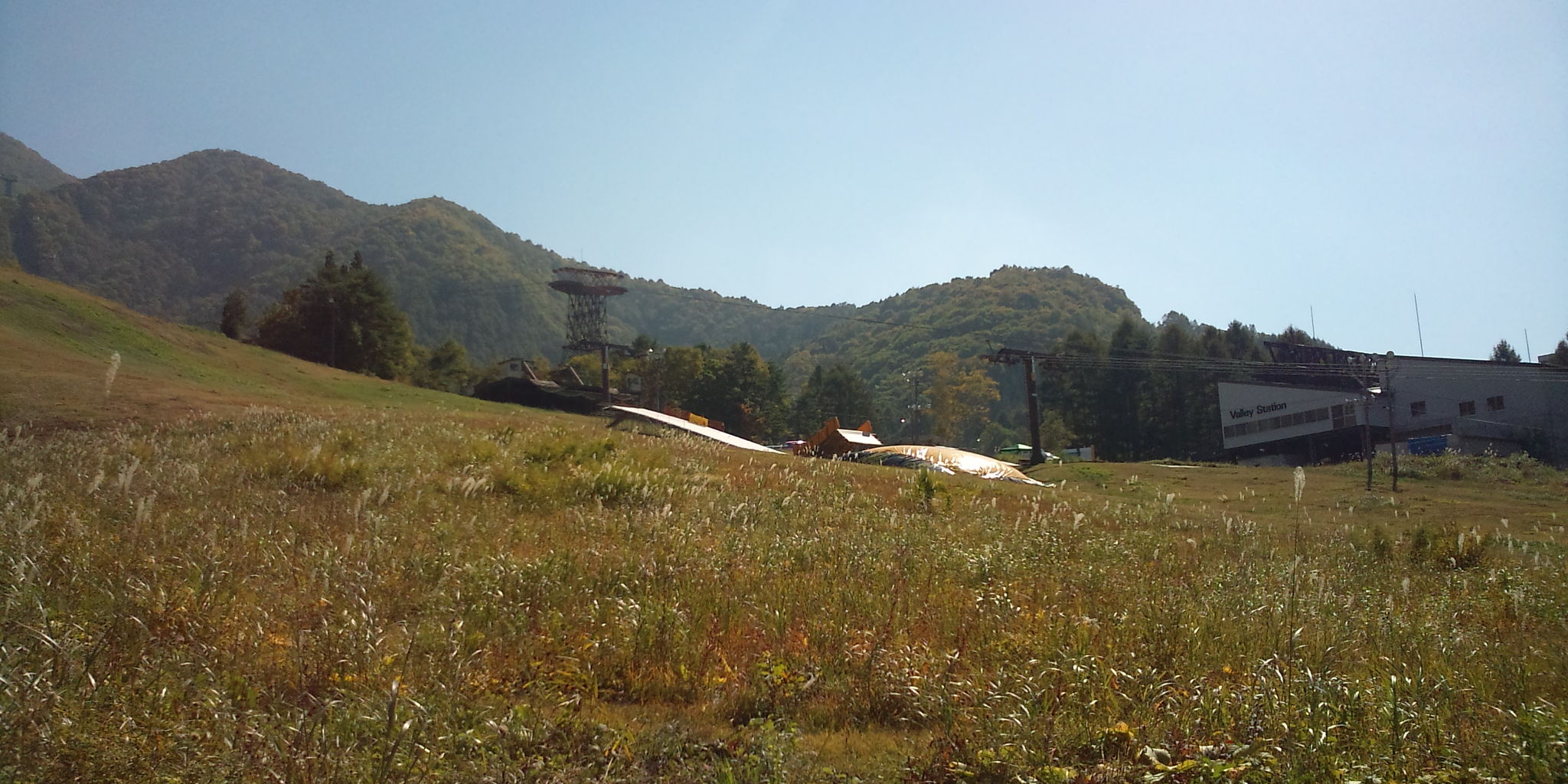 2011��