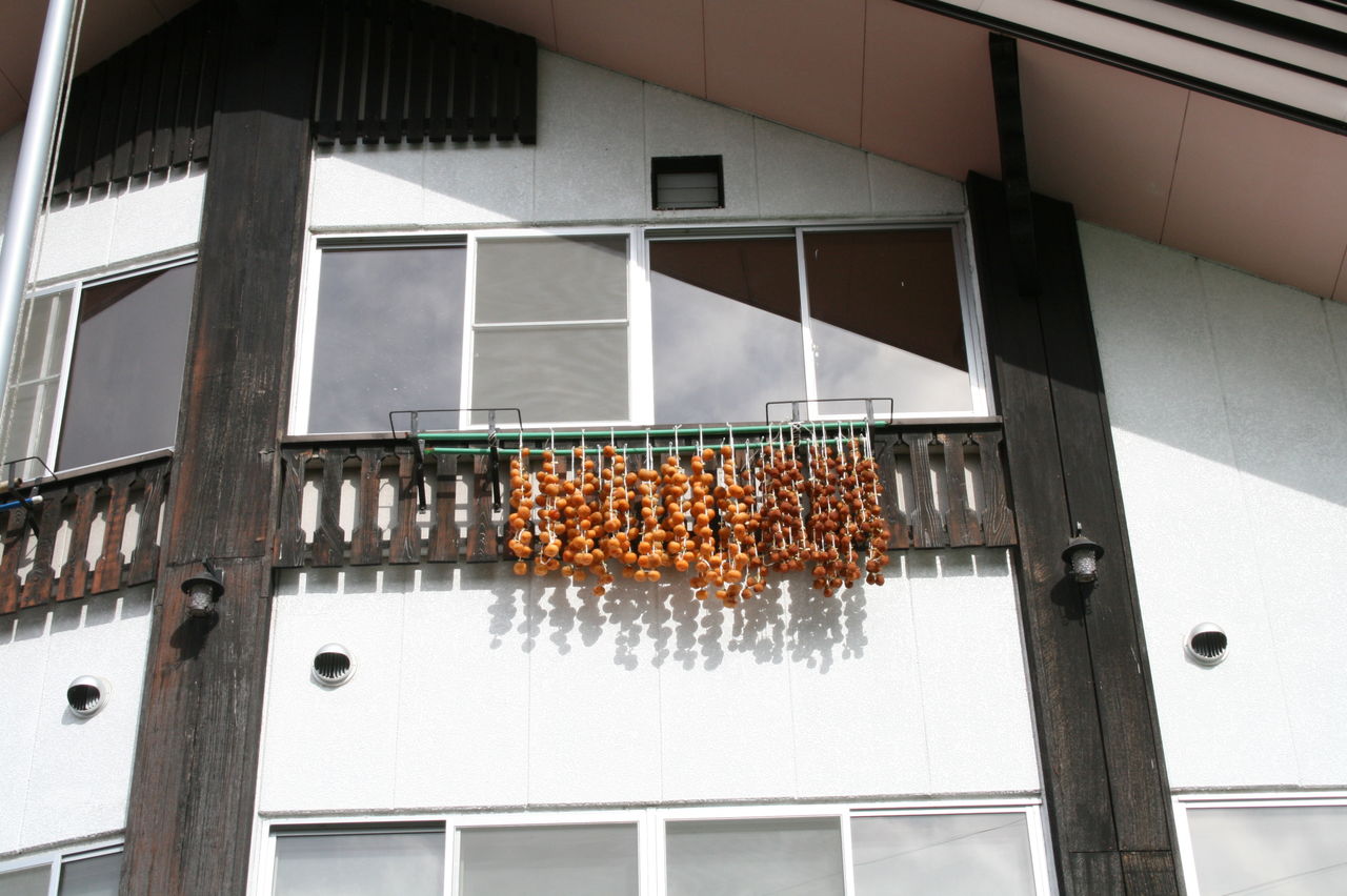 2011�� 002