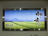 写真8