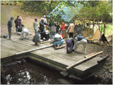 ��ú�Ƥ�01