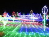¥¤¥ë¥ß£²