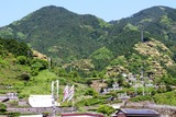 写真4