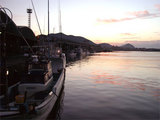 枕崎の海