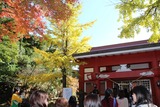 写真6