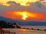 �����νУ�