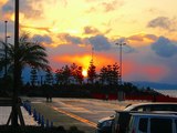 �����νУ�