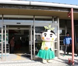 写真1