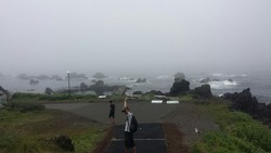 IMG-20170710-WA0002