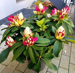 20190420_155326