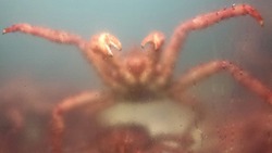 IMG-20170311-WA0003
