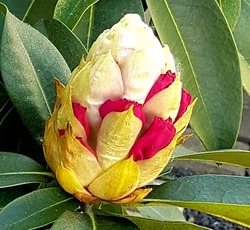 20190423_110202