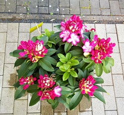 20190422_144621