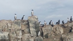 IMG-20170311-WA0026